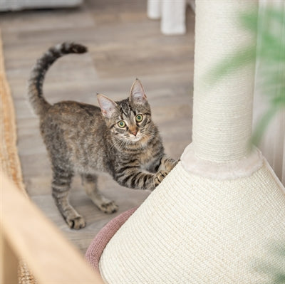 Trixie Krabpaal Viviana Rond Oudroze